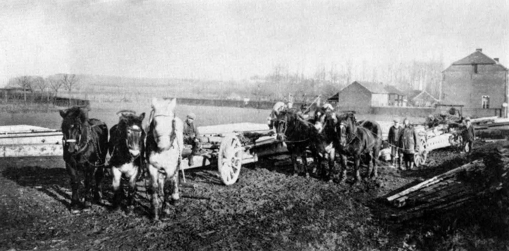 Cavan na Bélgica em 1923-24