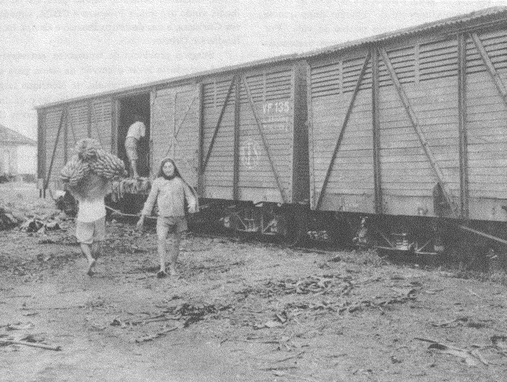 Vagão de frutas Ateliers de la Dyle Bélgica