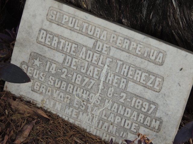 Jazigo Bertha De Jaegher