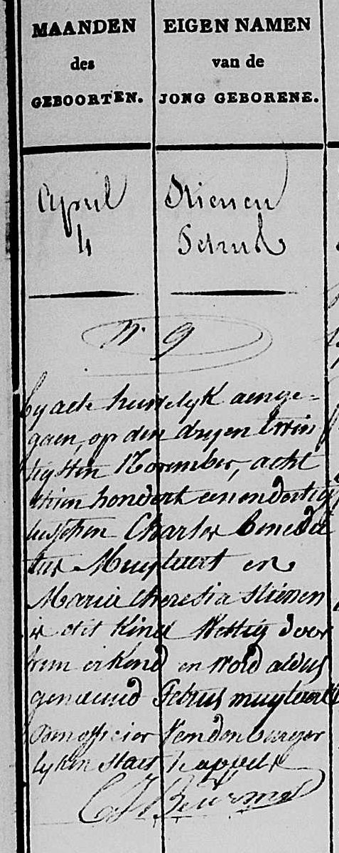 Muylaert Petrus