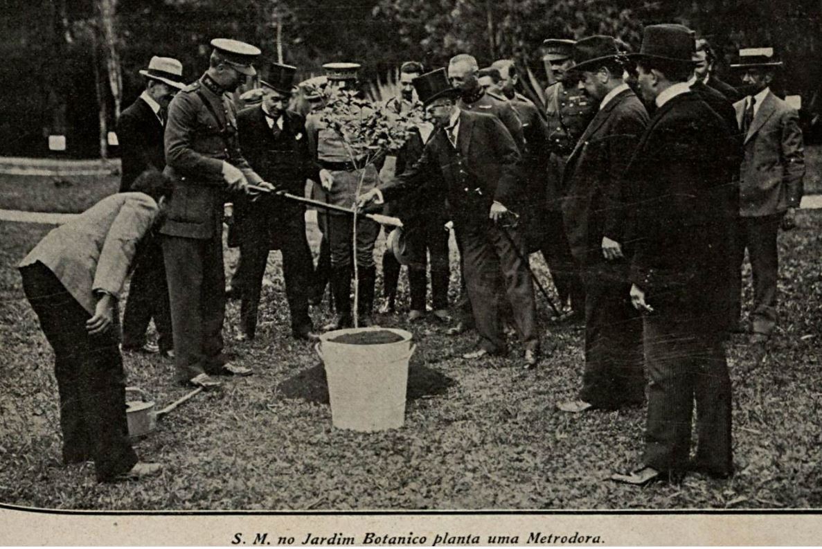 Revista Careta 642 Jardim Botânico Rei Alberto planta Metrodora