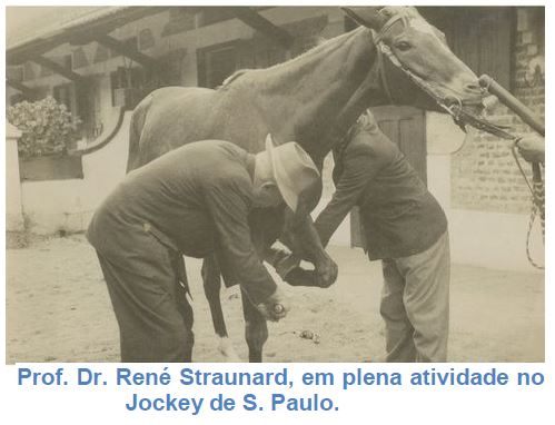 Straunard René Jockey Club