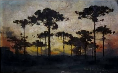 Van Emelen Araucarias